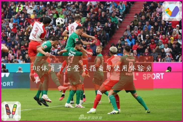 ng体育平台登录指南与使用体验分享