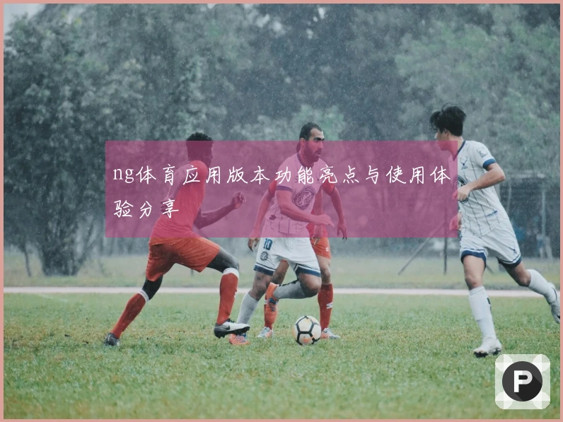 ng体育应用版本功能亮点与使用体验分享