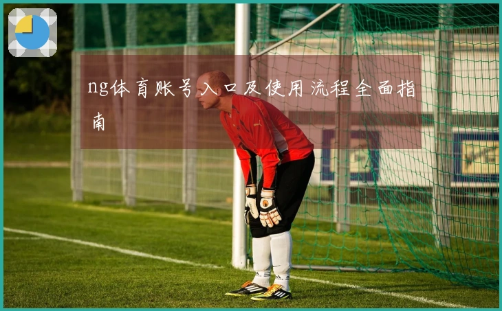 ng体育账号入口及使用流程全面指南