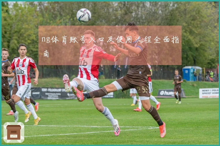 ng体育账号入口及使用流程全面指南