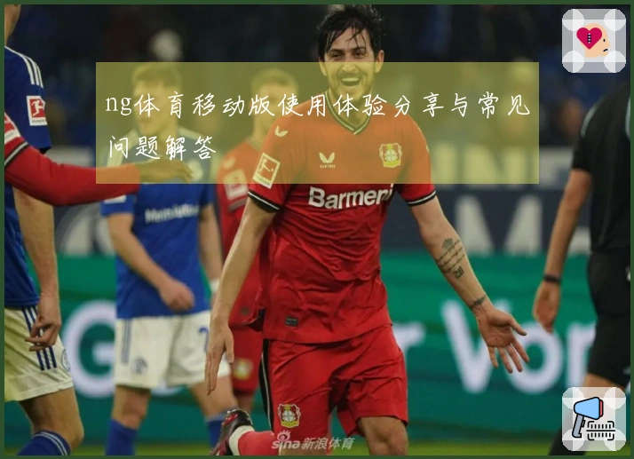 ng体育移动版使用体验分享与常见问题解答