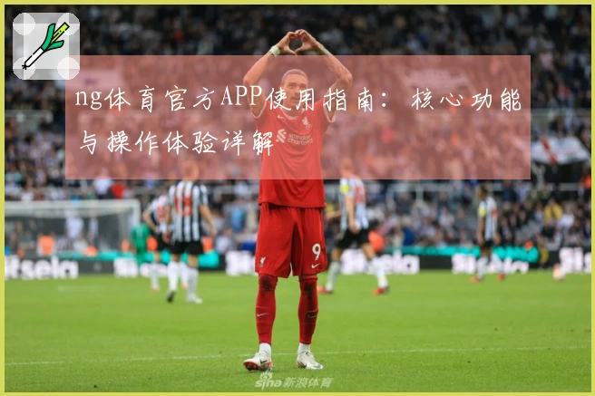 ng体育官方APP使用指南：核心功能与操作体验详解