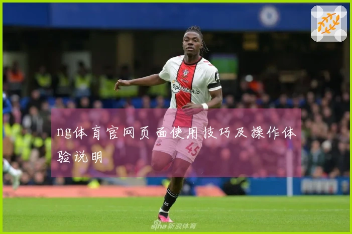 ng体育官网页面使用技巧及操作体验说明