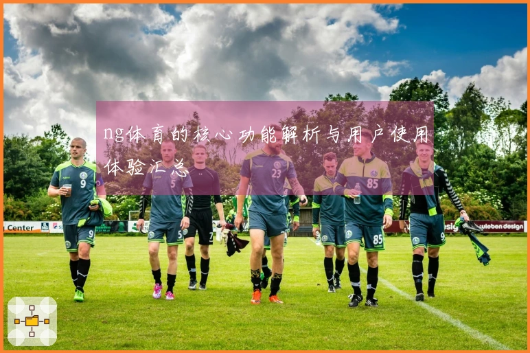 ng体育的核心功能解析与用户使用体验汇总