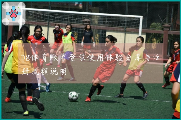 ng体育账号登录使用体验分享与注册流程说明