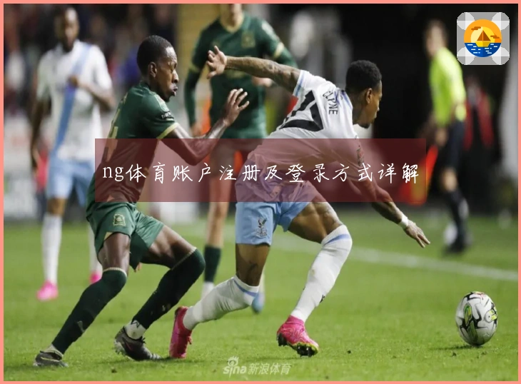 ng体育账户注册及登录方式详解