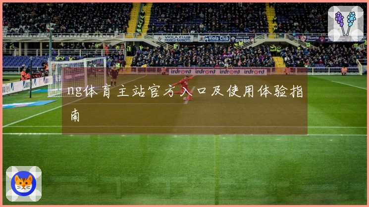 ng体育主站官方入口及使用体验指南